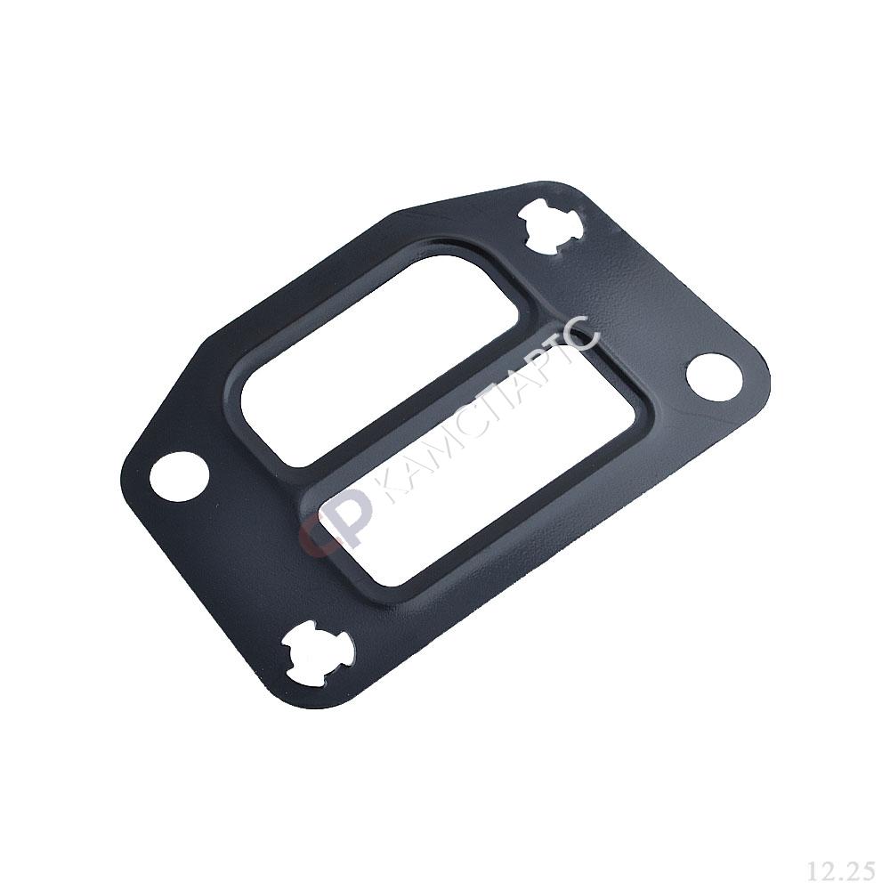 Прокладка головки масляного фильтра (DieselWagner)