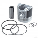 Поршень в сборе (DieselWagner)